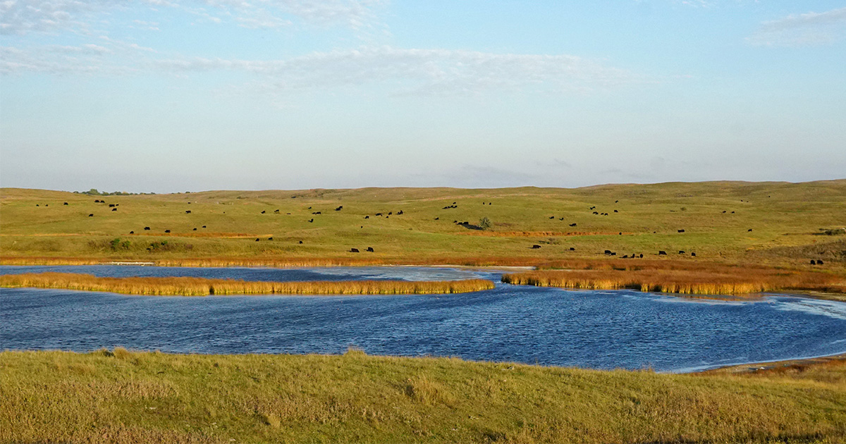 DU and Cargill Working Together to Restore Watersheds Across North America